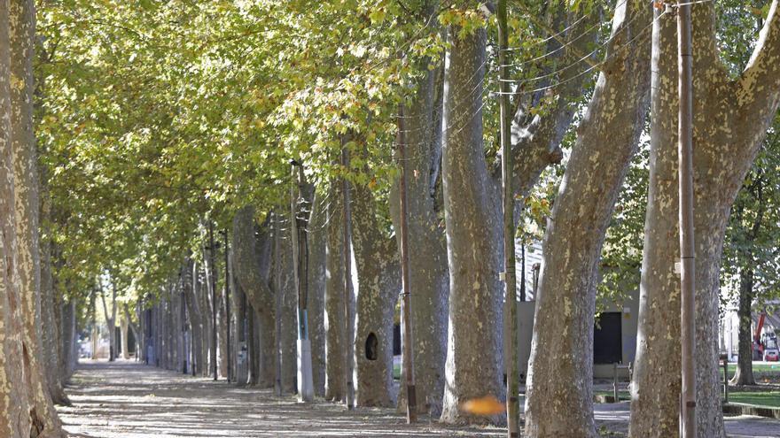 Girona treu a licitació la renovació de  l’enllumenat del parc de la Devesa