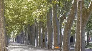 Girona treu a licitació la renovació de l’enllumenat del parc de la Devesa