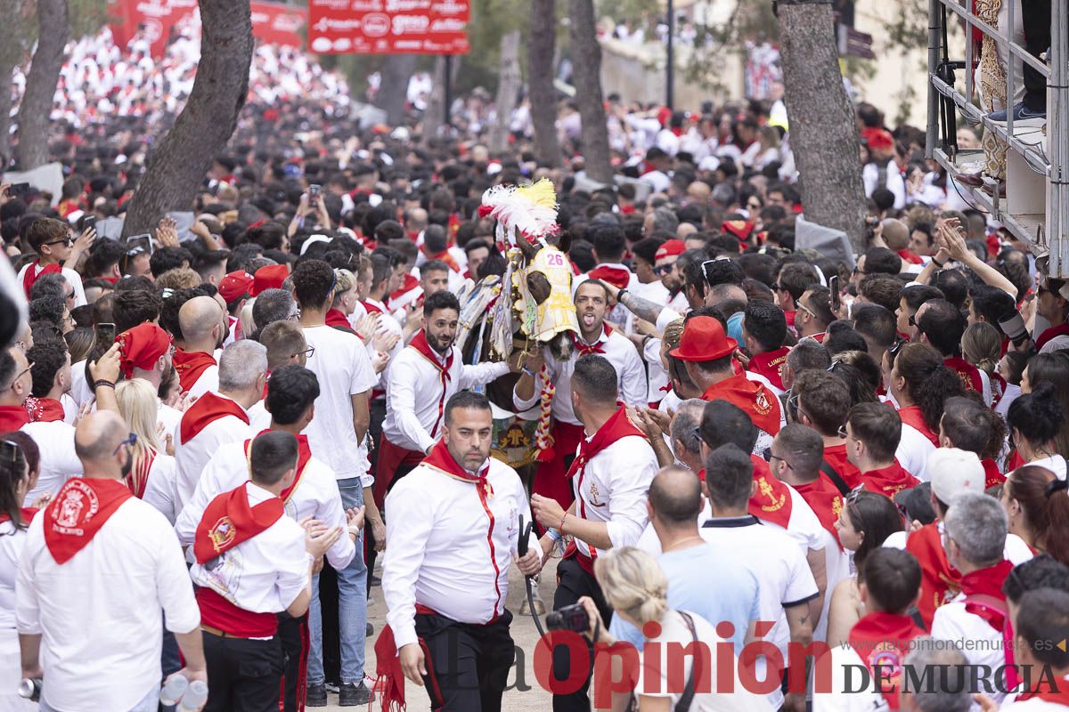 Así se ha vivido la carrera de Los Caballos del Vino en Caravaca