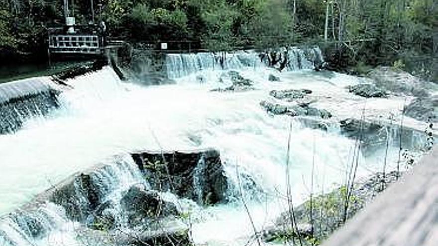 Escala salmonera del Cañu, en el río Sella.