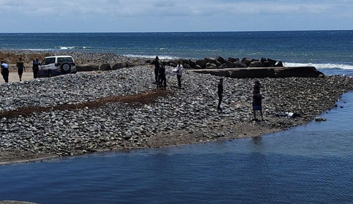Una cría de delfín aparece en las piscinas naturales
