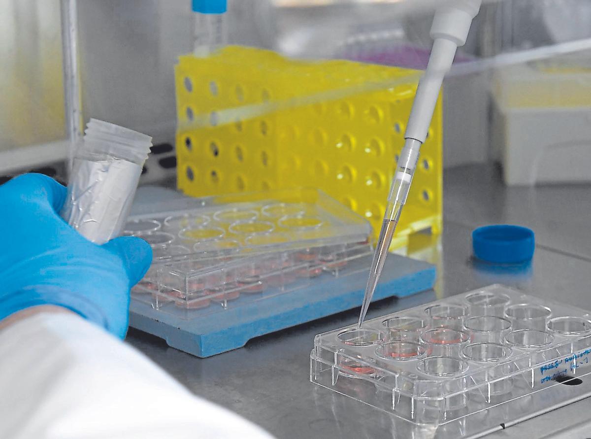 Un investigador manipula una muestra en el laboratorio.