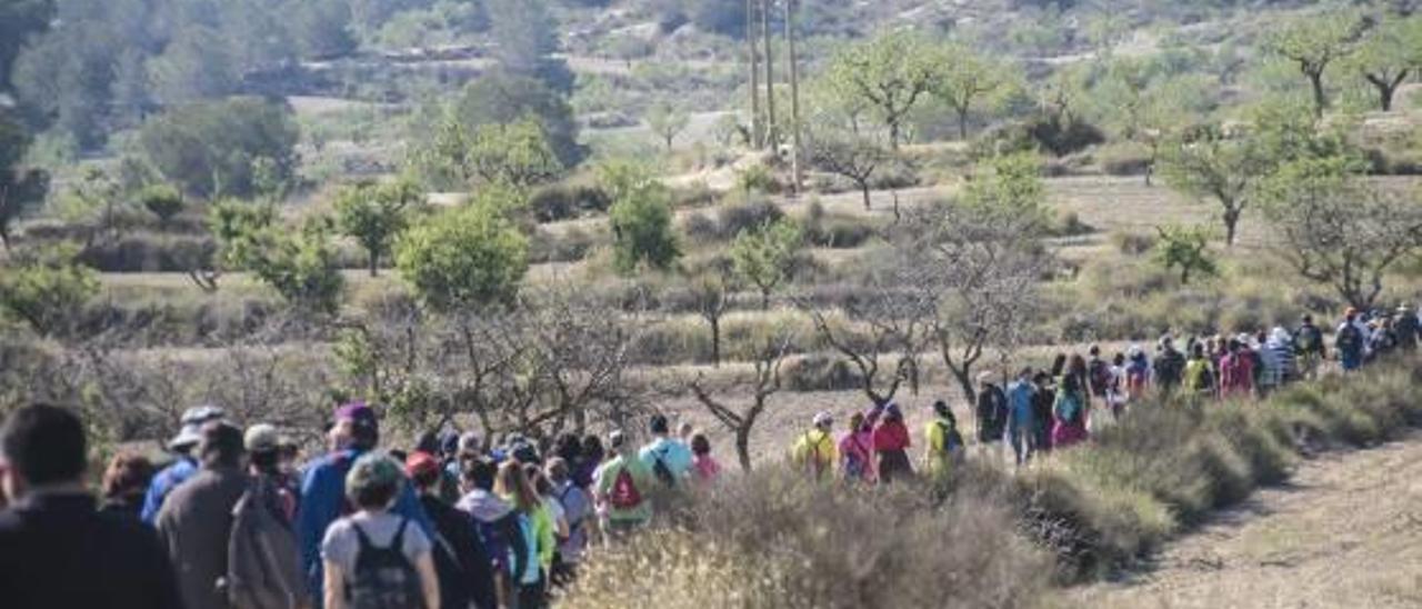 Imagen de la umbría de Sierra Escalona, entre Torremendo y la Región de Murcia.