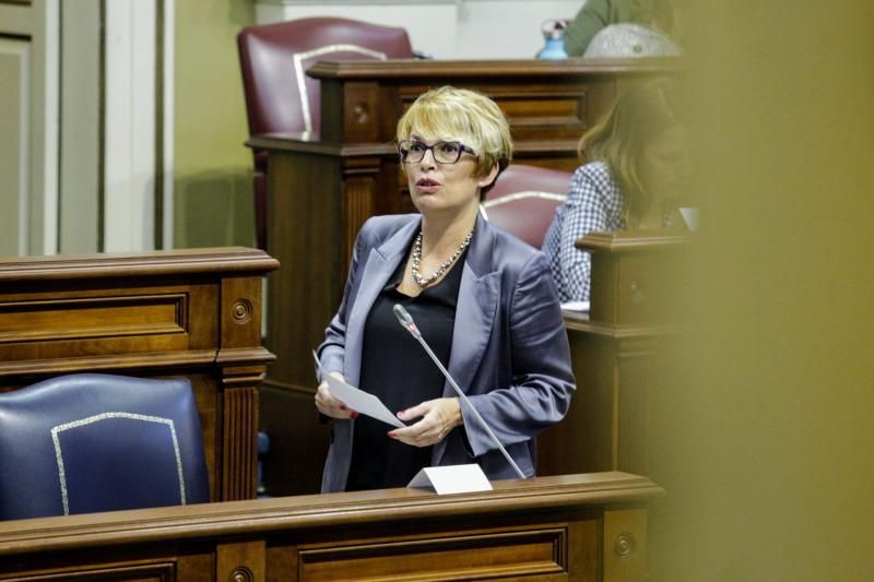 Pleno del Parlamento de Canarias  preside Gustavo Matos , presidente del gobierno , Victor Torres   | 19/05/2020 | Fotógrafo: Delia Padrón