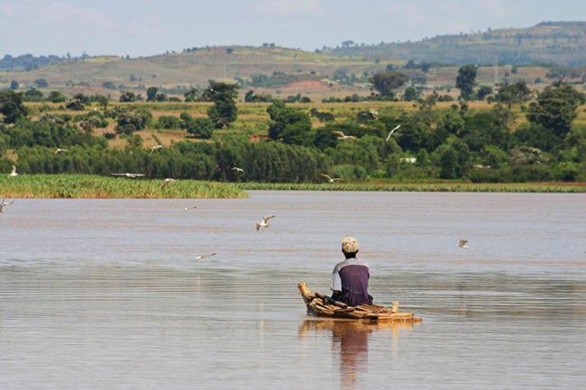 Lago Tana