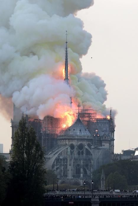 Un incendio devora la catedal de Notre-Dame.