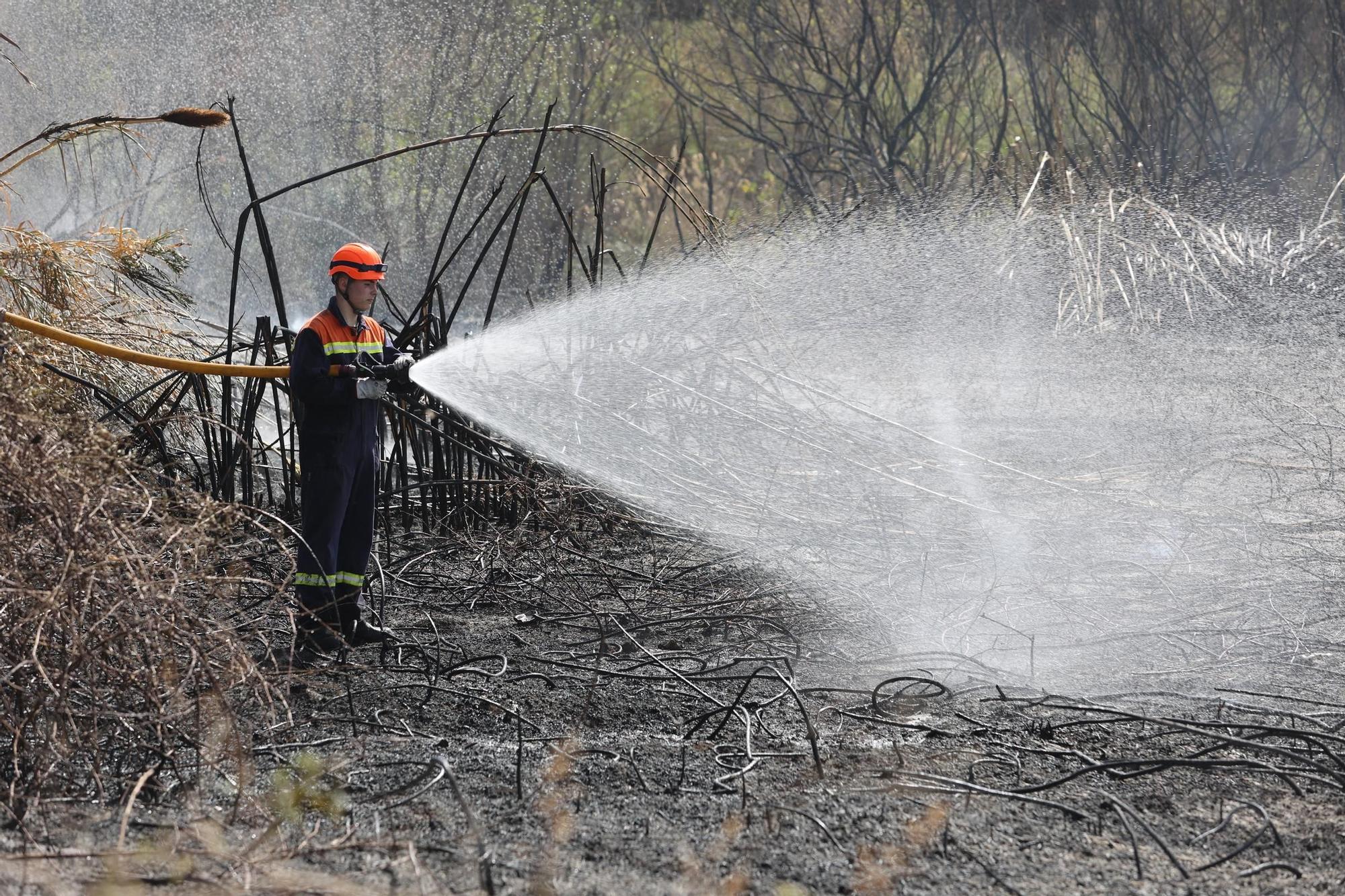 Galería de fotos del incendio forestal en el río Millars entre Vila-real y Almassora