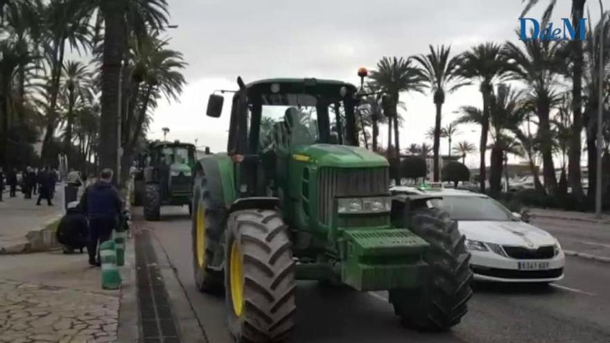 Tractorada sorpresa de los agricultores de Mallorca contra el Govern Armengol