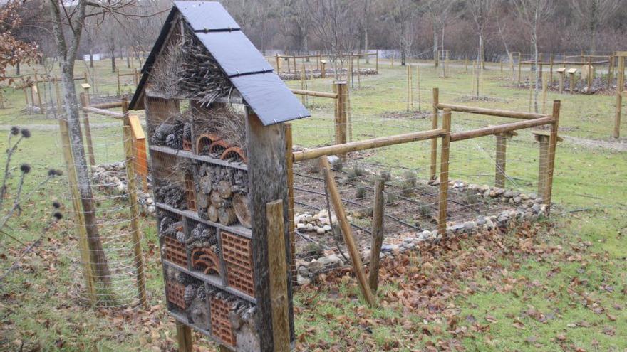 Una autopista de polinizadores: Así es el proyecto contra el cambio climático nacido en Sanabria