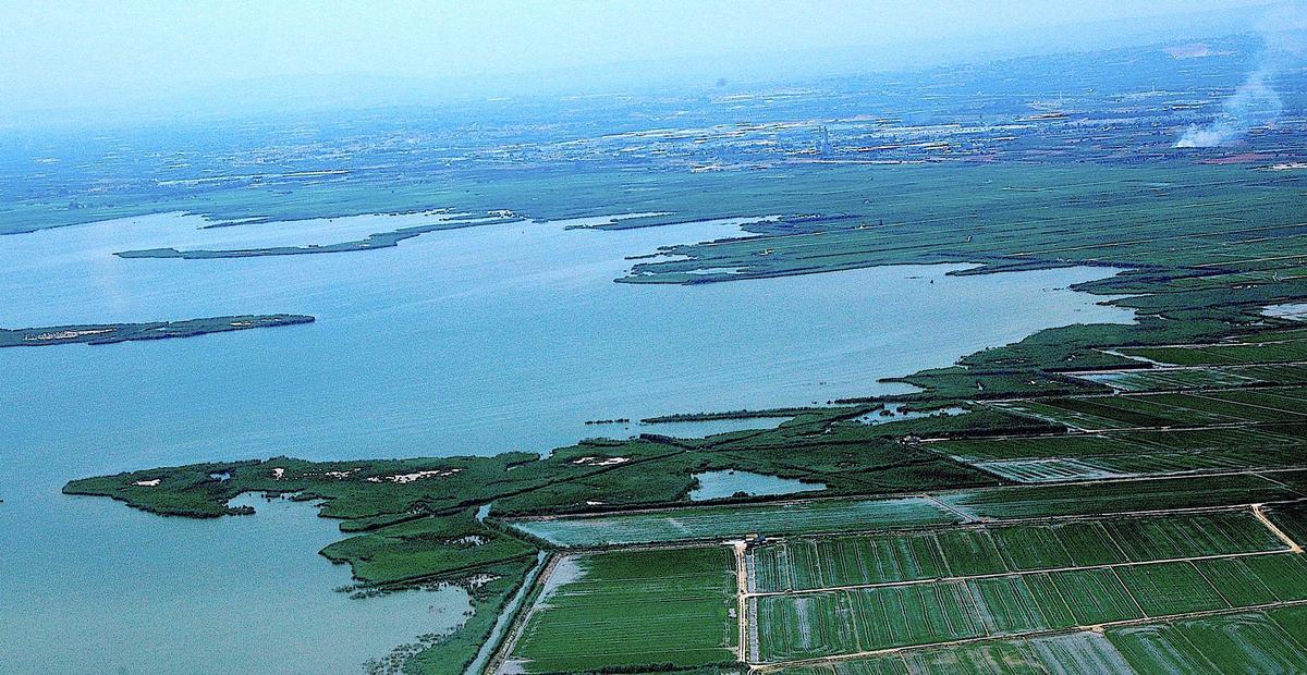 1 La Albufera de Valencia.Lago y arrozales.