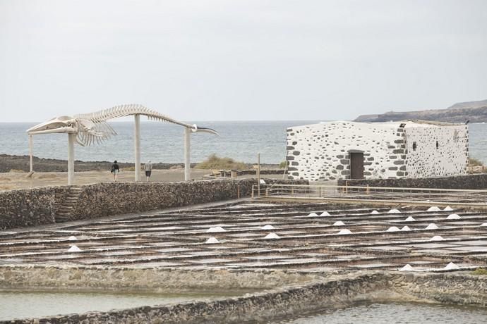 FUERTEVENTURA - MUSEO DE LA SAL - 09-05-18