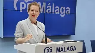 El PP afea "el abandono" del Gobierno en materia de seguridad  y reclama más medios para reforzarla