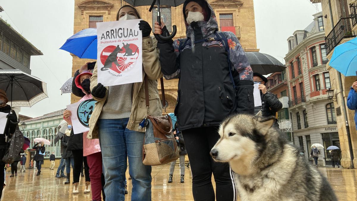 Las protectoras de animales protestan en Oviedo por el cambio de gestión en el albergue de La Bolgachina