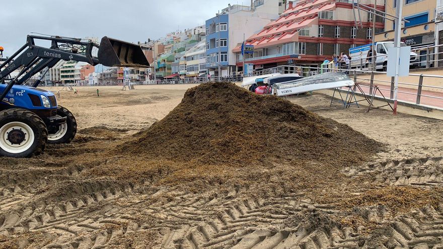 Retirada de seba en Las Canteras