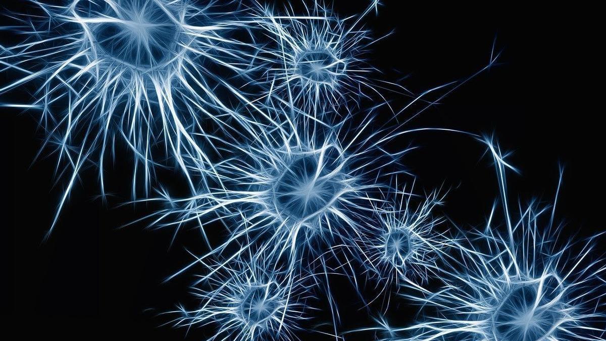 Representación artística de neuronas.