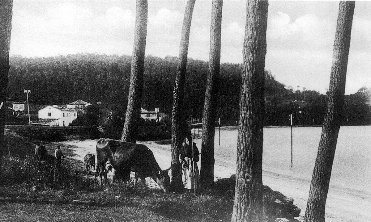Vista de la playa de Placeres, con una joven pastorando vacas a la orilla del mar.