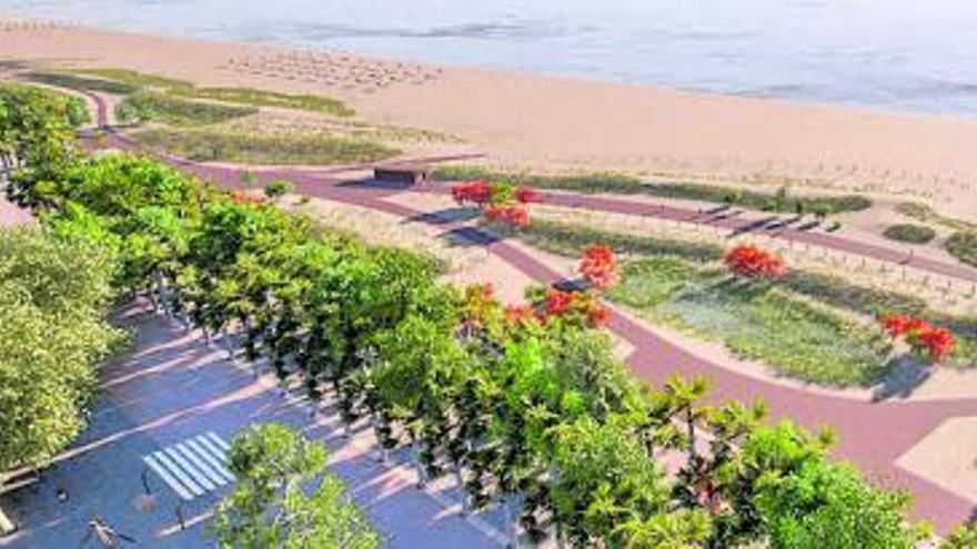 Playas de Valencia se preparan con arbolado de gran porte y captadores de dunas frente a temporales.