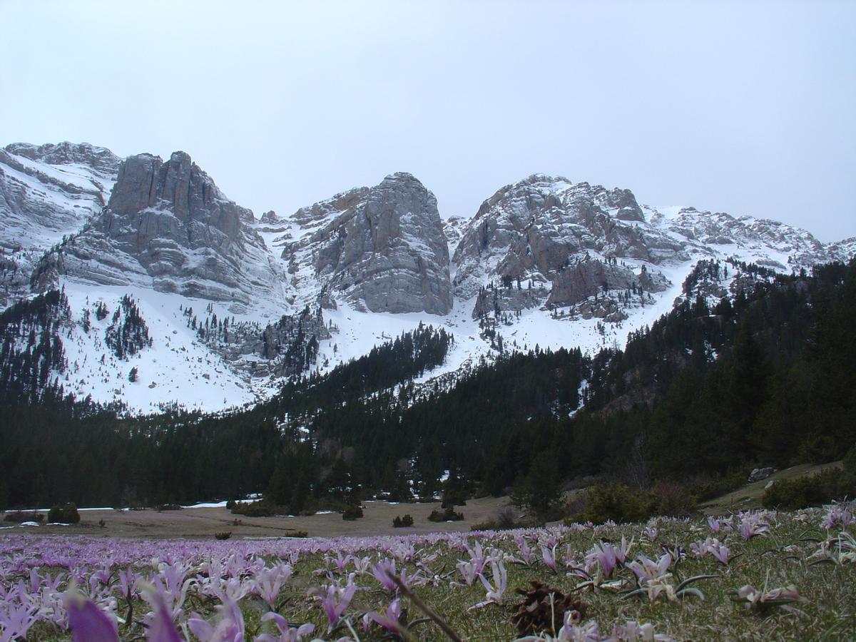 El Prat de Cadí amb la paret de roca al darrera