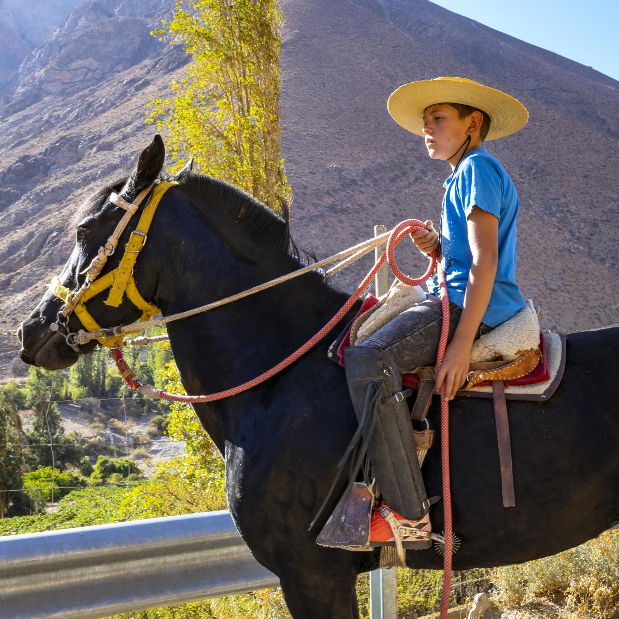 Ruta de las Estrellas en el valle del Elqui.