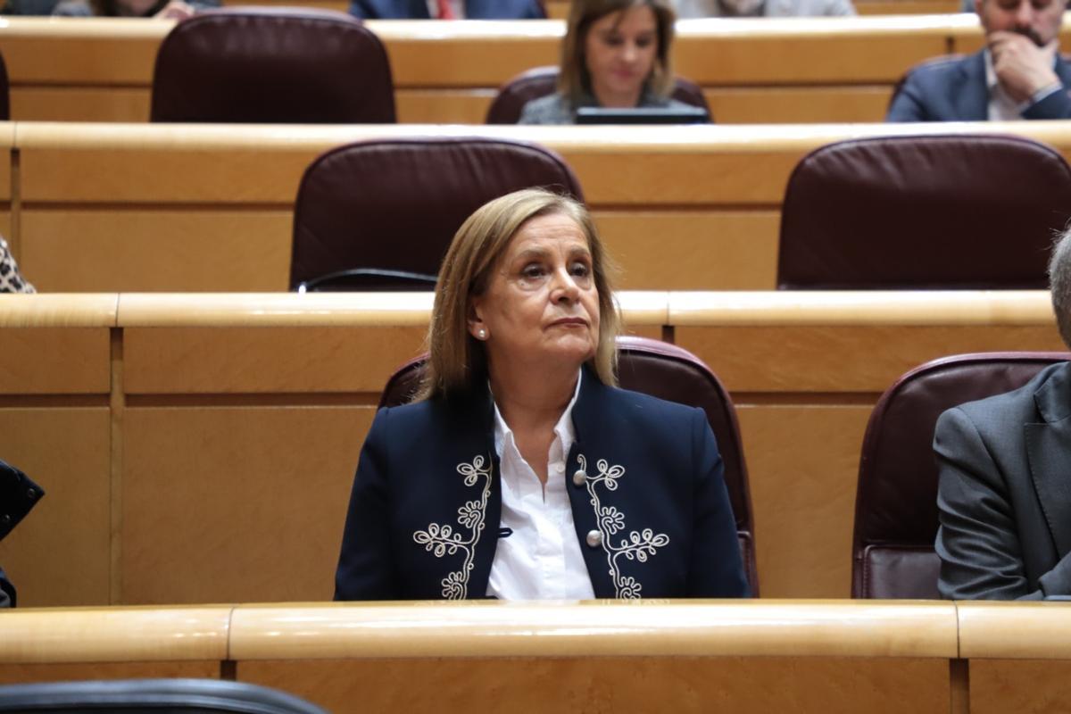 Carmela Silva, en el Senado.