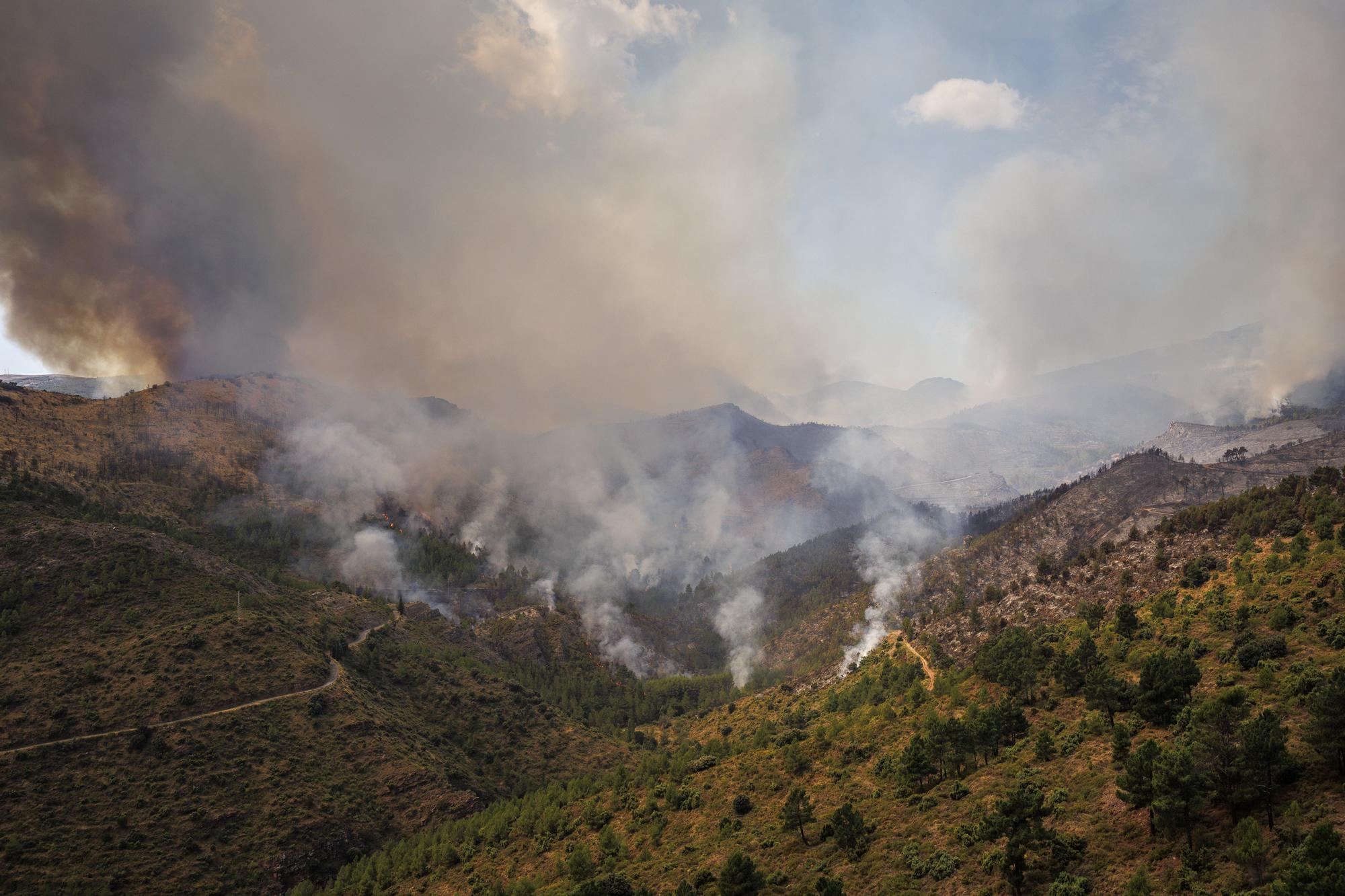 Desoladoras imágenes del incendio de Bejís