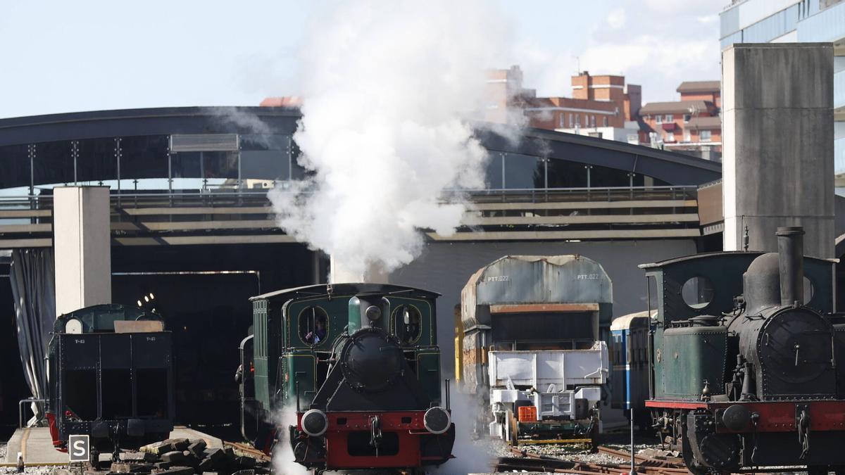 Algunas de las joyas ferroviarias en la playa de vías del complejo.