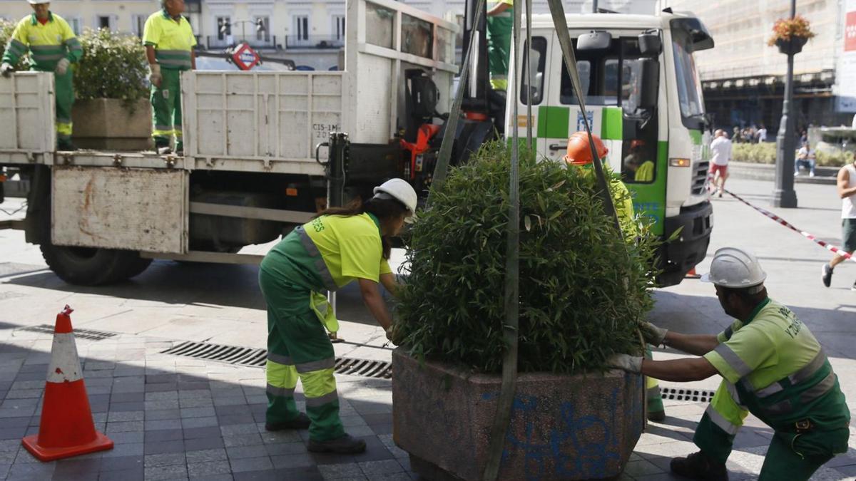 Trabajadores del Ayuntamiento de València instalando maceteros. | LEVANTE-EMV