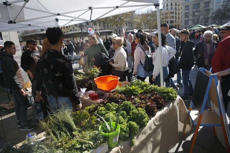 Los productos de proximidad llegan a la ciudad en "De l'horta a la plaça"