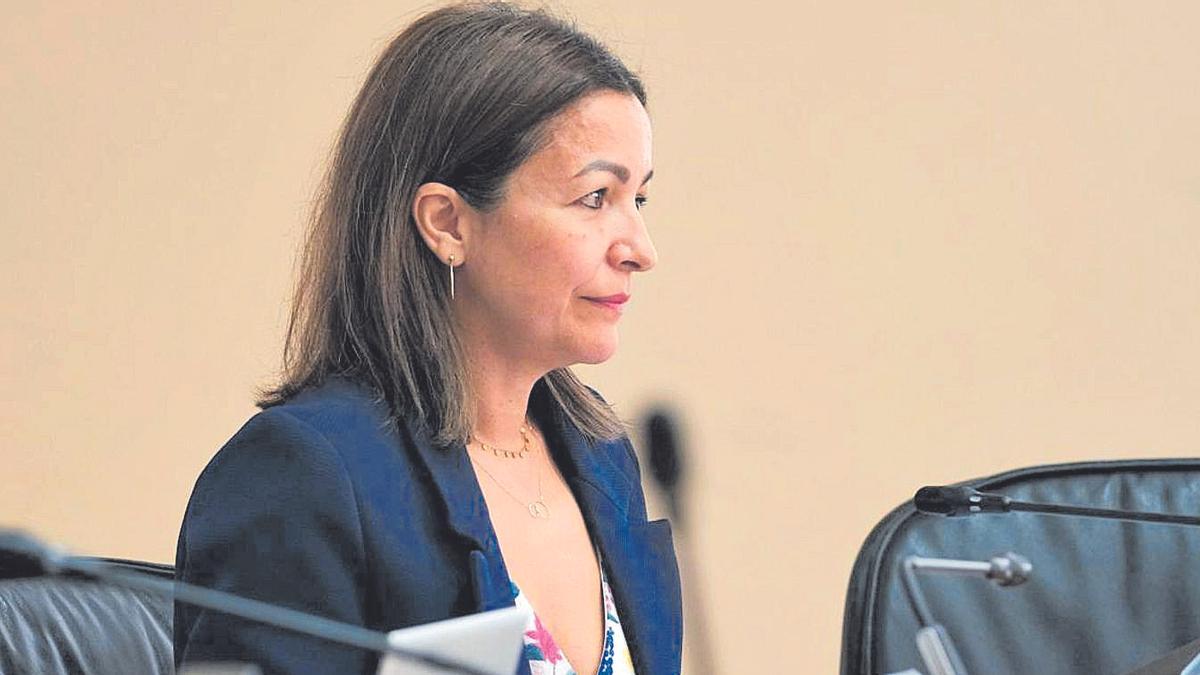 Villaverde, en una comparecencia en el Parlamento | Xoán Álvarez