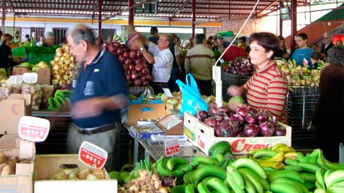 Mercadillo del Agricultor de Tacoronte en plena actividad