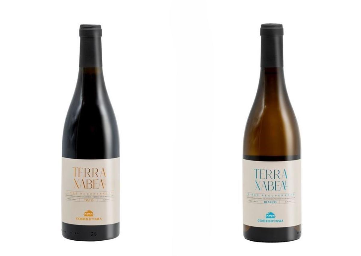 Los primeros vinos de Coster d'En Sala