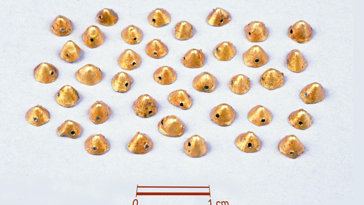 Imagen de los pequeños conos perforados de oro, que son únicos en la Penínsla Ibérica.