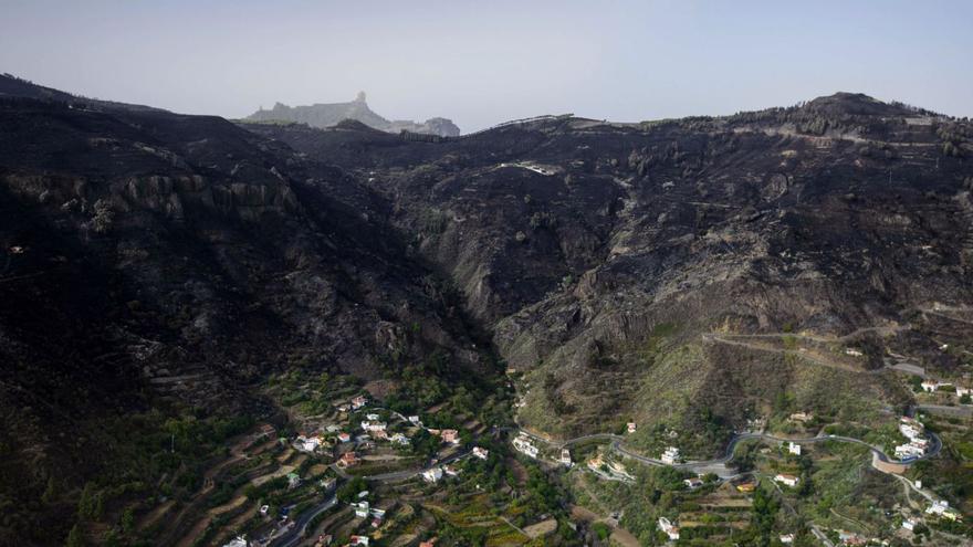 El Cabildo pretende aplicar desde este año el nuevo céntimo forestal
