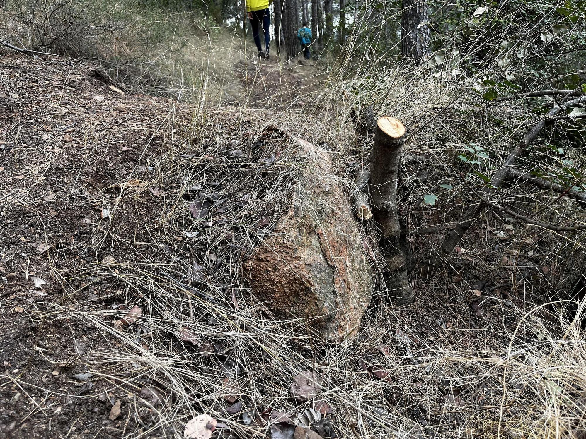 Las imágenes de la pista ilegal abierta en la Vilavella para practicar BTT