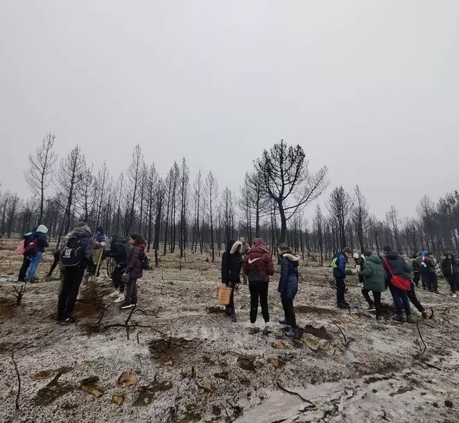 Brotes verdes en La Culebra: el proyecto de reforestación de escolares de Zamora