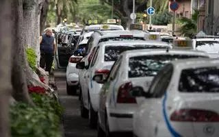 Elite Taxi lamenta el ‘lento trámite’ que impide rescatar este año más licencias