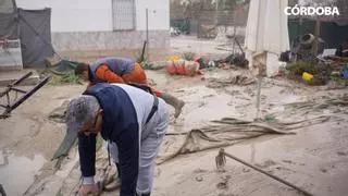 El Ayuntamiento de Córdoba pone en marcha la limpieza de las zonas afectadas por las inundaciones