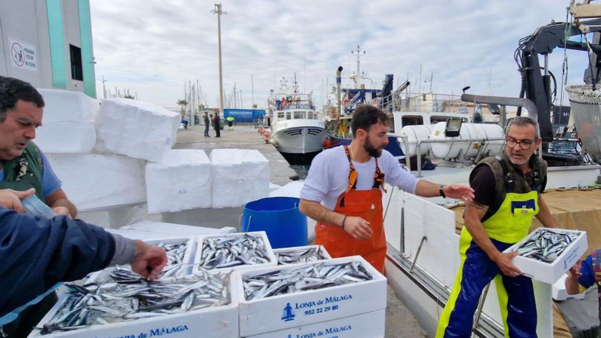 Los pescadores desembarcan las capturas en Torrevieja, ayer. | J. CARRIÓN