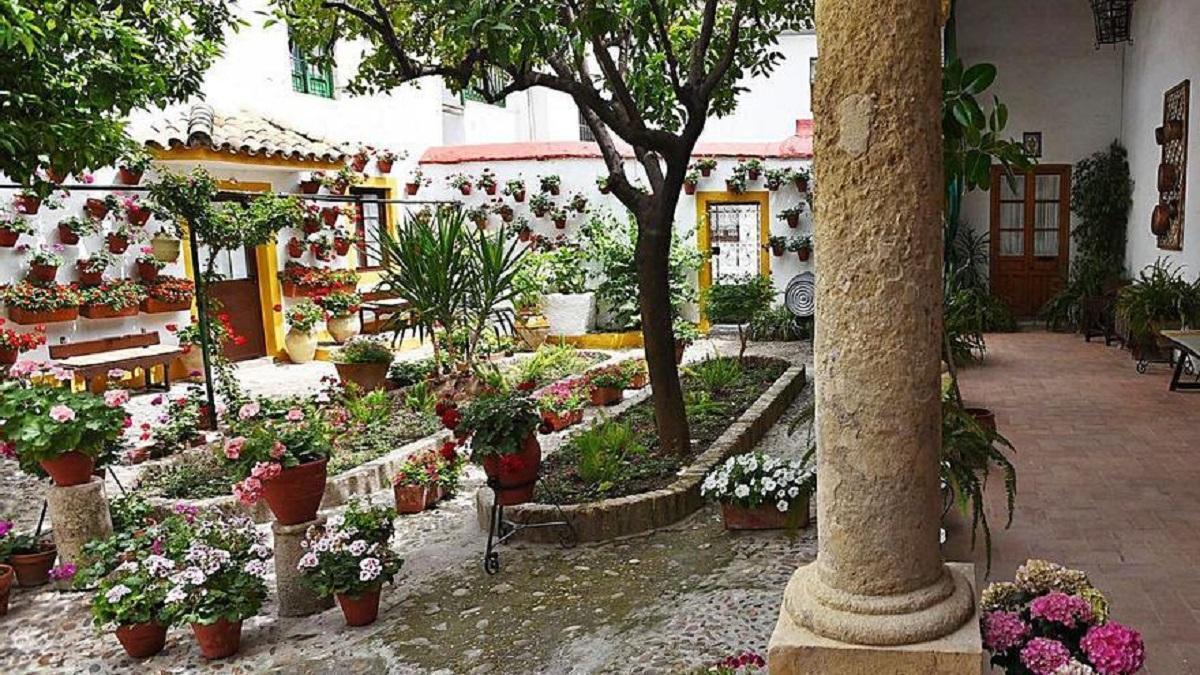 El Concurso de Patios incorpora como categorías nuevas los patios  singulares y el patio joven - Diario Córdoba