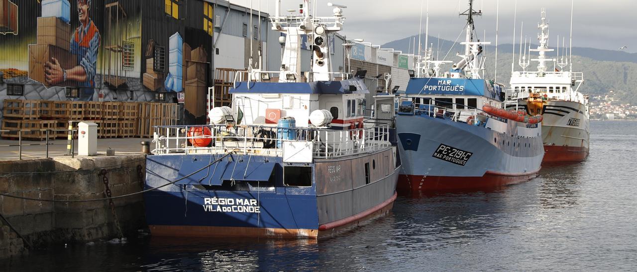 Flota pesquera amarrada en el puerto de Vigo.