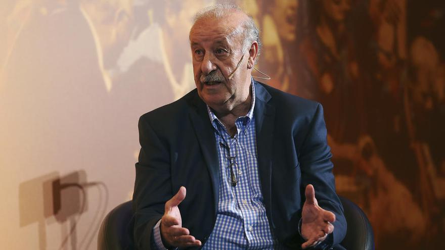 Del Bosque: &quot;Hay buenas selecciones con el mismo objetivo que nosotros&quot;