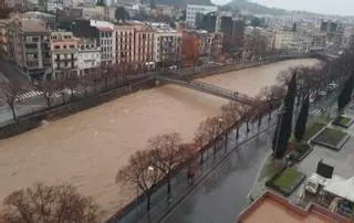 Rescaten un sensellar sorprès pel creixement del riu Ter a Girona