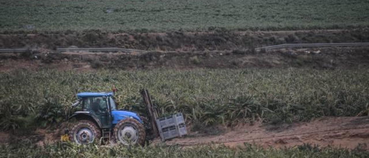 Un agricultor, con un tractor en un campo de cultivo.