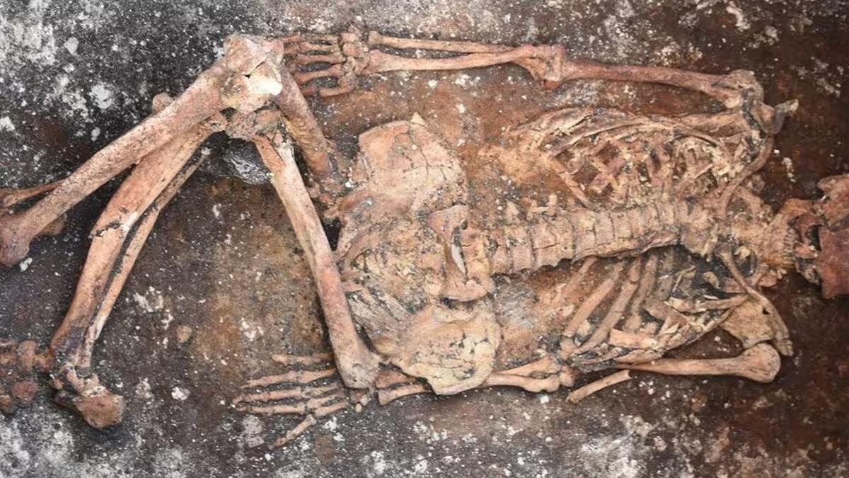 El esqueleto de un jinete descubierto en Malomirovo, Bulgaria. Muestra las costumbres funerarias típicas de los Yamnaya.
