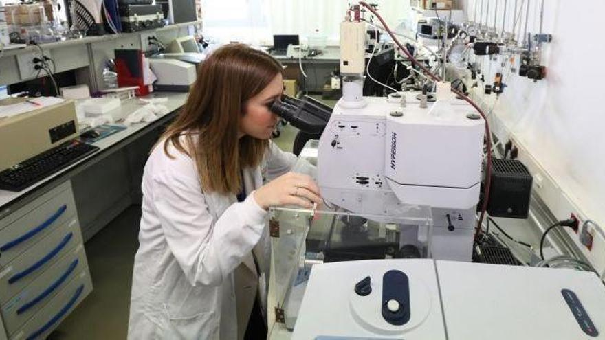 El dinero destinado al departamento de Ciencia en Aragón crece un 31% en los últimos 4 años