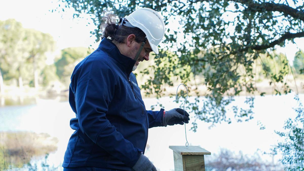 Campaña contra los mosquitos transmisores del virus del Nilo en Villamanrique de la Condesa.