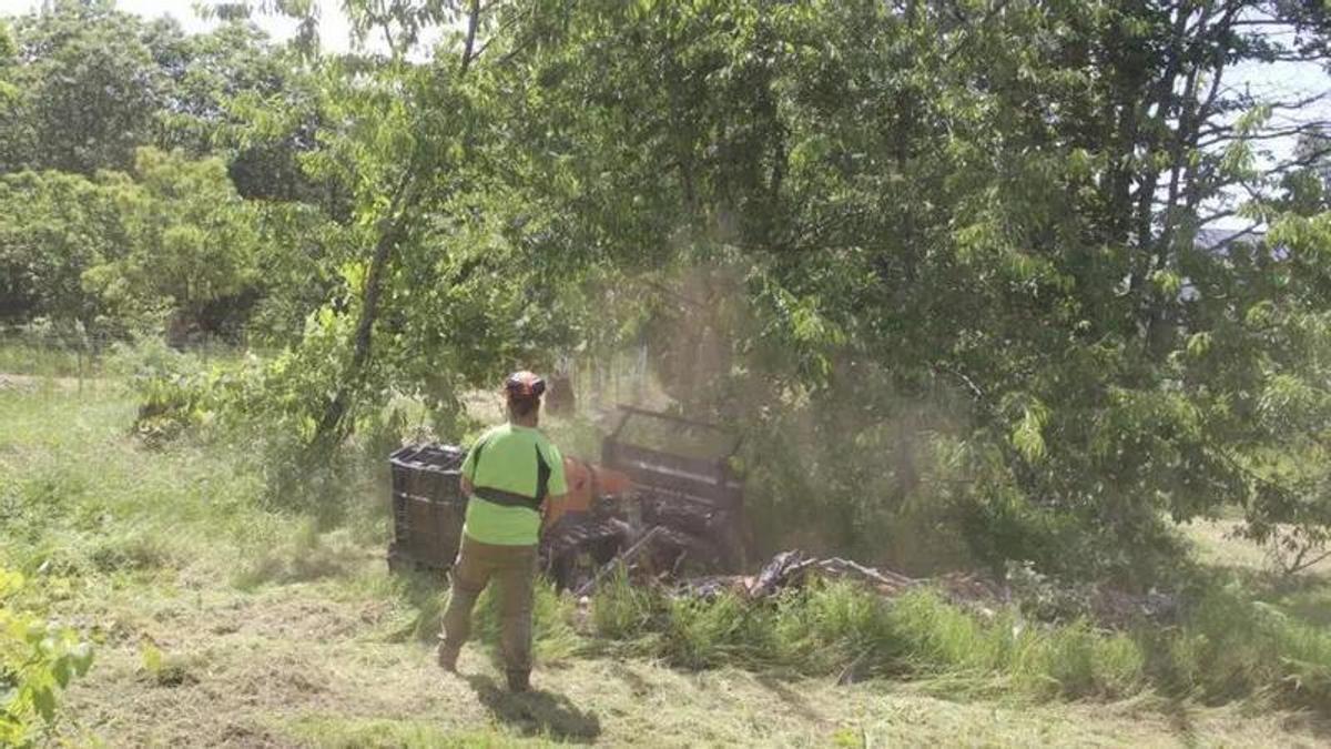 Un operario trabaja con un robot en las labores de limpieza del entorno de un pueblo de Sanabria.
