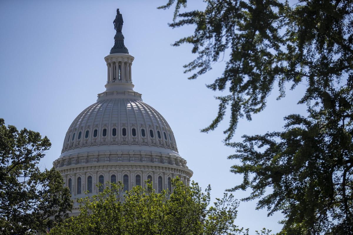 Una imagen de la cúpula del Capitolio, que acoge a la Cámara de Representantes y el Senado de EEUU, en Washington DC.