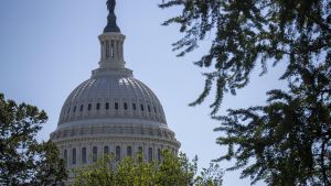 Una imagen de la cúpula del Capitolio, que acoge a la Cámara de Representantes y el Senado de EEUU, en Washington DC.