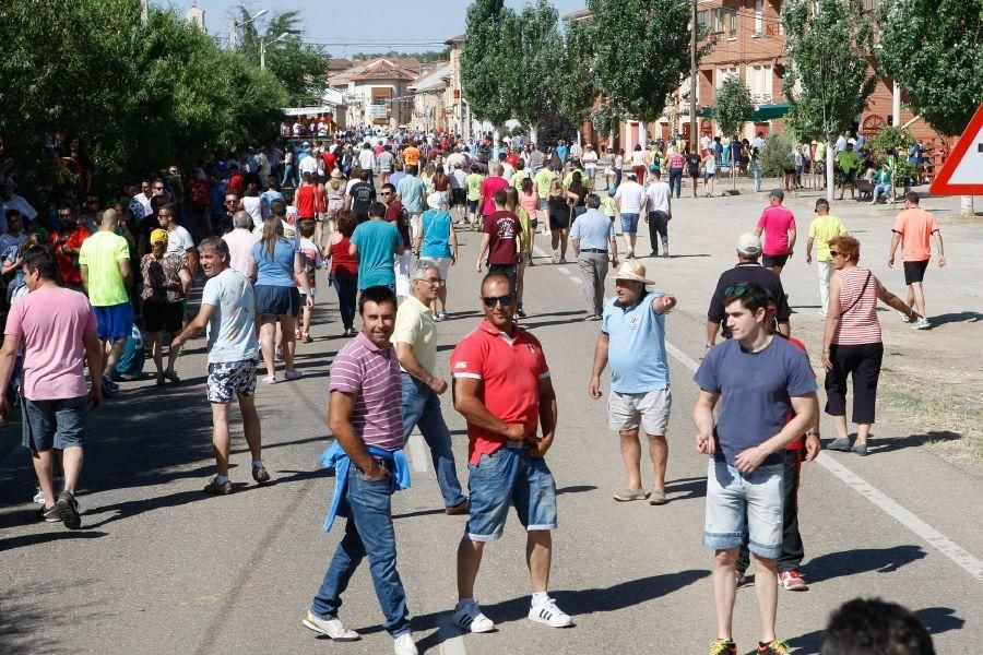 Fiestas en Zamora: Segudos espantes de Fuentesaúco